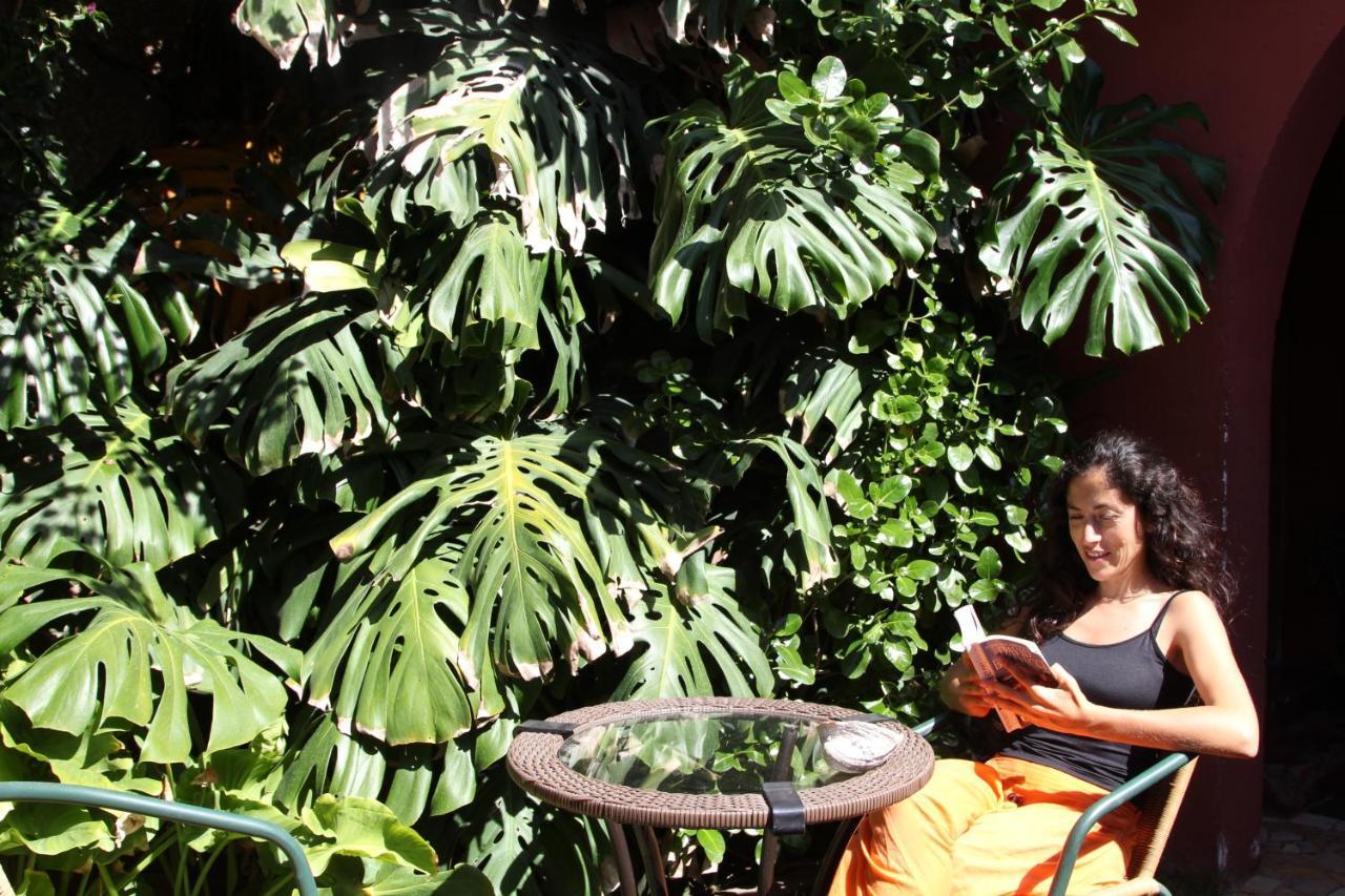 Albergue El Arbol *